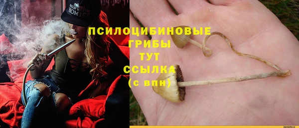 мяу мяу кристалл Инсар