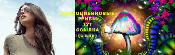 мяу мяу кристалл Инсар