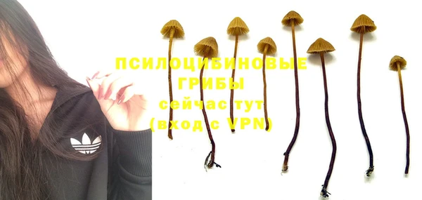 мяу мяу кристалл Инсар