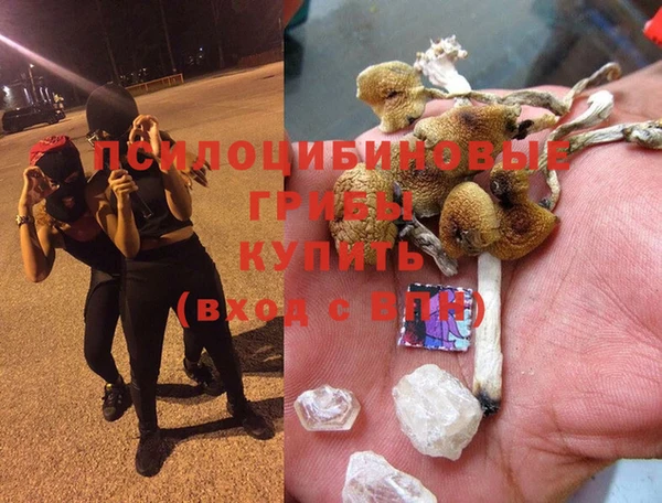 мяу мяу кристалл Инсар