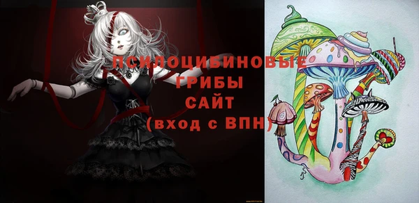 меф Туринск