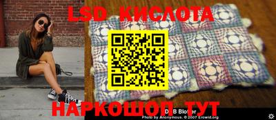 крисы Лесосибирск