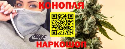 крисы Лесосибирск