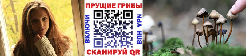 Галлюциногенные грибы мухоморы Ишимбай